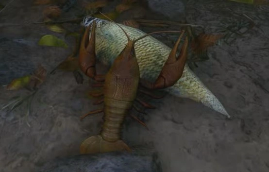 Kingdom Come: Deliverance 2 Flusskrebs